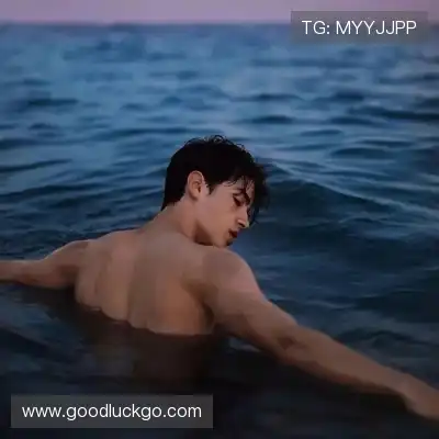 舒舜飚